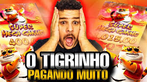 como se cadastrar no joguinho do tigre tigre imagem de tela 3